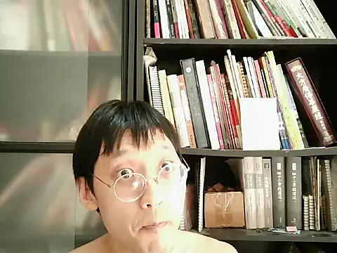 Lv8763 webcam
