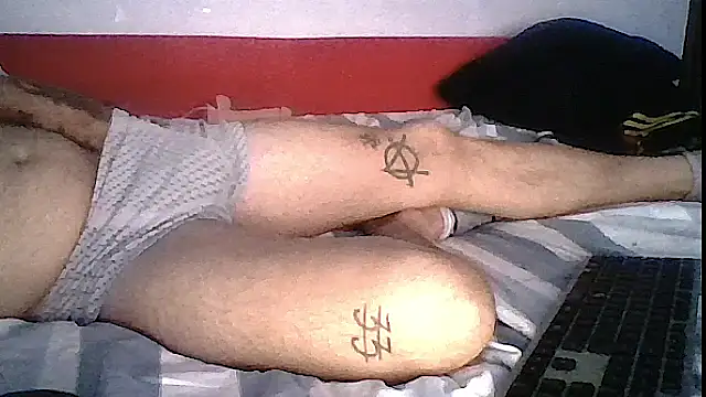 Dileilei webcam