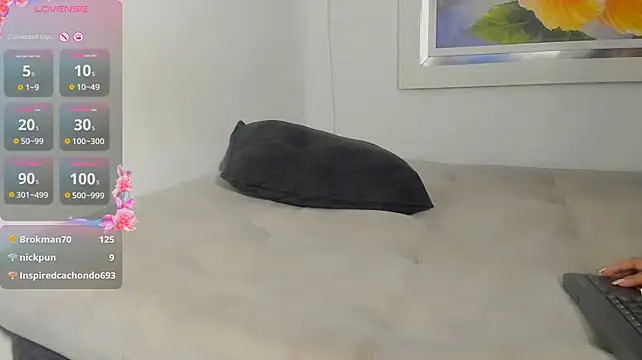 kaiagerbes3 webcam