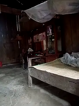 Linkk-2k live webcam