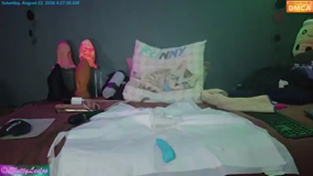 Camgirl MissSluttyLeeloo sur Stripchat