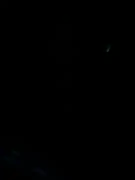 LeBimbo live webcam