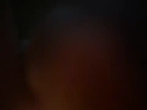 translove webcam
