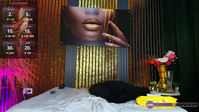 perfectmatch_ webcam