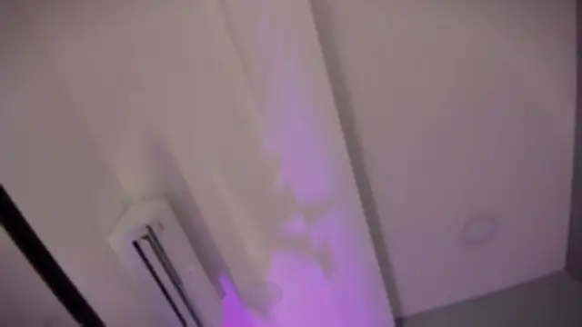 alejandrarojas_