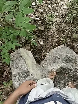 Forest_lover24 webcam