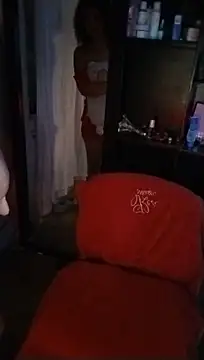 MIlan333X webcam