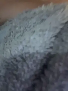 SabrinaX_X live cam on StripChat