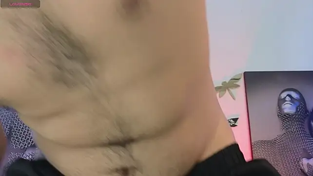 VikoHands webcam
