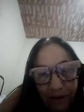 catdool live webcam