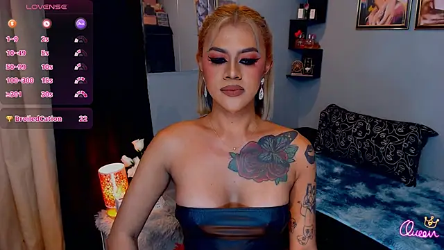 StellaStrong30 webcam