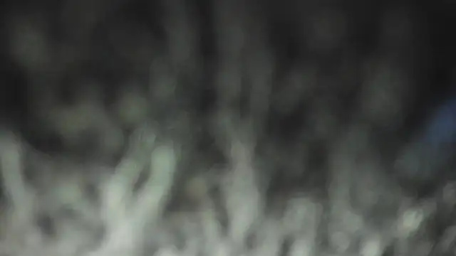 martinaclark webcam