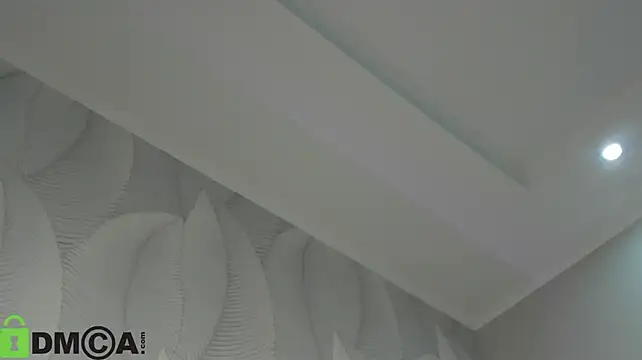 Jerry-Hall webcam