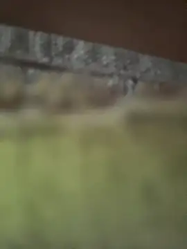 HornyMia11