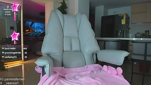 _veenus webcam