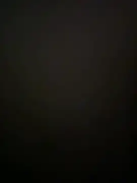 Anal_Top webcam