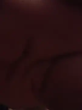 sade94 webcam