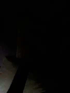 Jazzythorn88