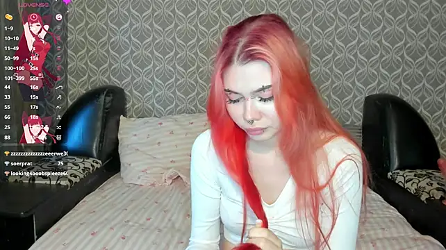 Veldenga webcam