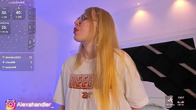 Alexa_Handler webcam