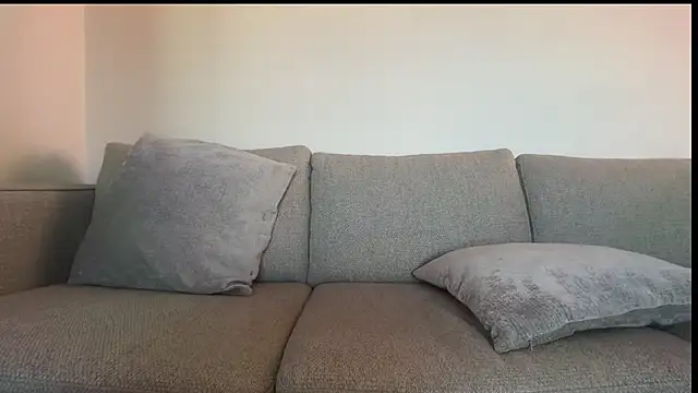 gymshrk webcam