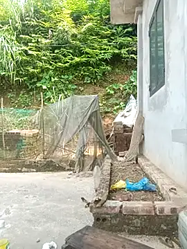 BigAss-Vietnames live sex cam