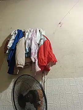 Sana-vn webcam