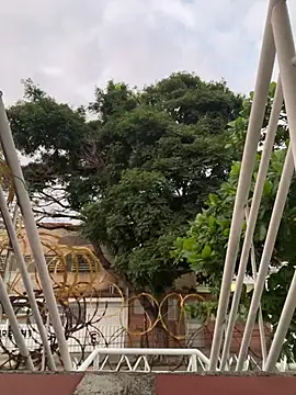 ikaro21