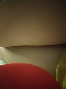 -Tara-a webcam