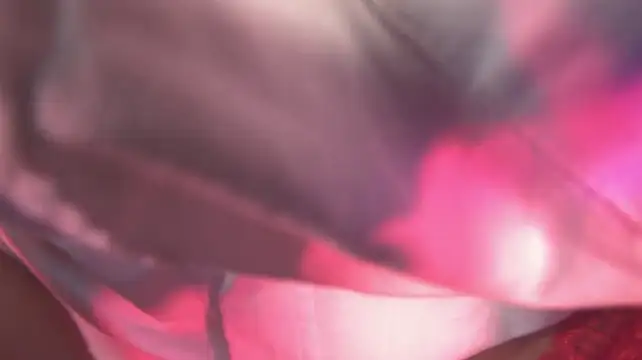 amber_demons2021 webcam