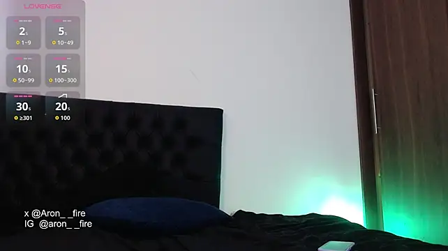 aron__fire webcam