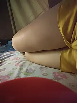 -Tara-a webcam