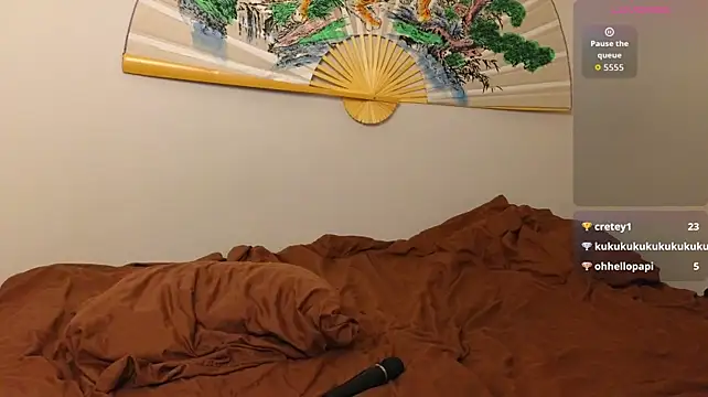 ViolaHight live webcam