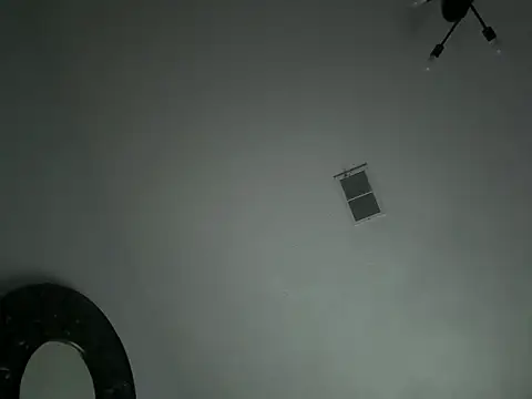 SpannedHazelnut