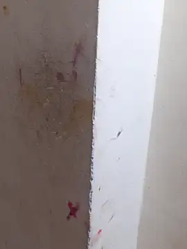 Fiza_Rani78