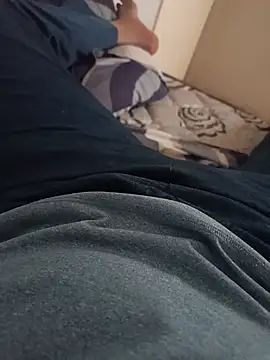 Telugu_Andhrawala_0304 webcam