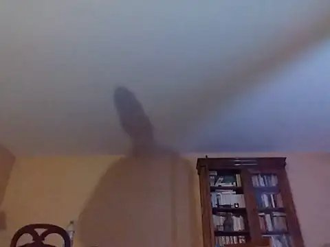 Perv10