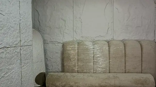 tatiscelis_tf webcam