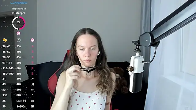 Vulgar_Tamer
