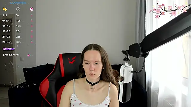 Vulgar_Tamer webcam