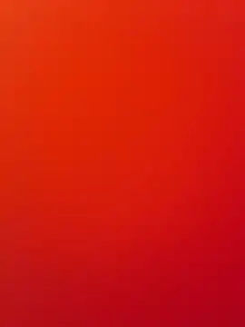 AnitaFly