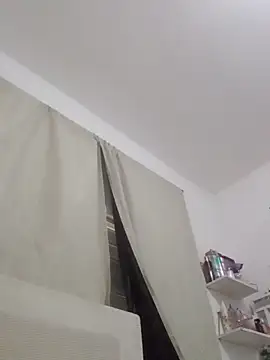 Mithckey webcam