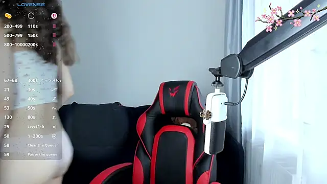 Vulgar_Tamer