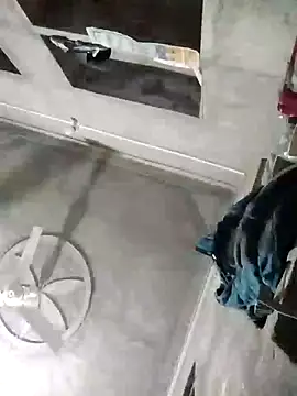 Loomaraj webcam