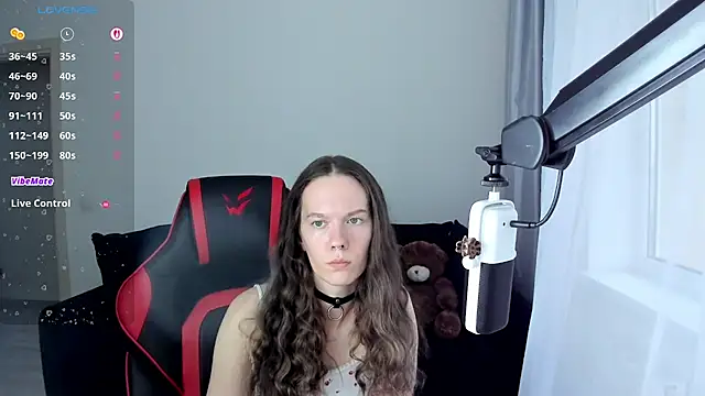 Vulgar_Tamer