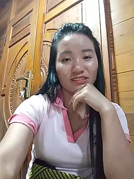 Td3di webcam