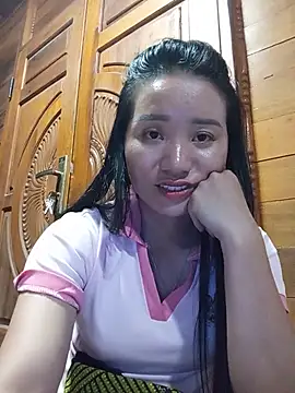 Td3di webcam