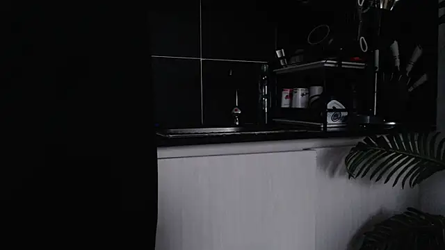 CurvyGlass webcam