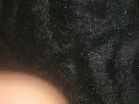 Funbunny2