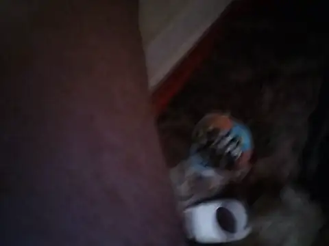 spundarella420